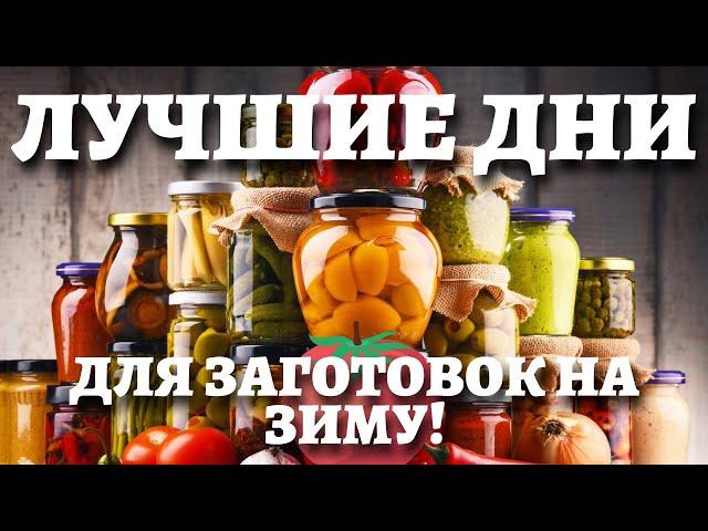 К зиме готовься! ЛУННЫЙ КАЛЕНДАРЬ КОНСЕРВИРОВАНИЯ НА ИЮЛЬ, АВГУСТ, СЕНТЯБРЬ 2021. Благоприятные дни!