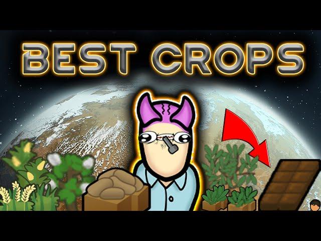 Top 10 Best Foods And How To Farm In Rimworld 1.5+