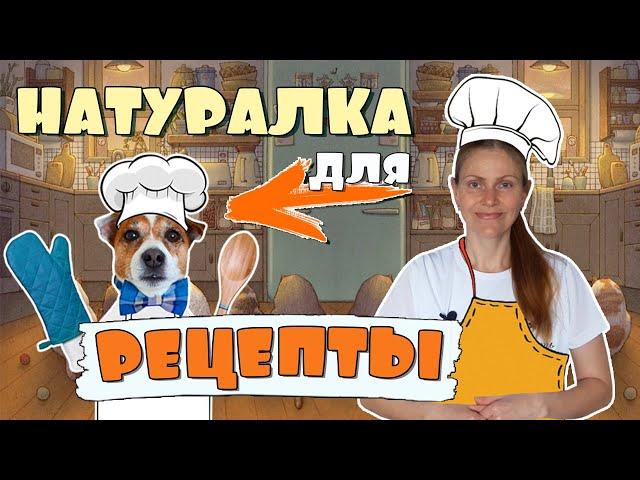 NATURAL FOOD for dogs / RECIPES for dogs for every day Homemade dog food recipes