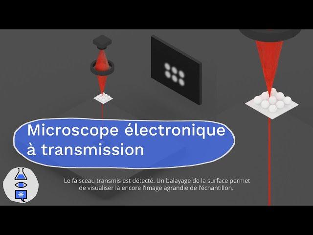 Animations sur les microscopes : Microscope électronique à transmission