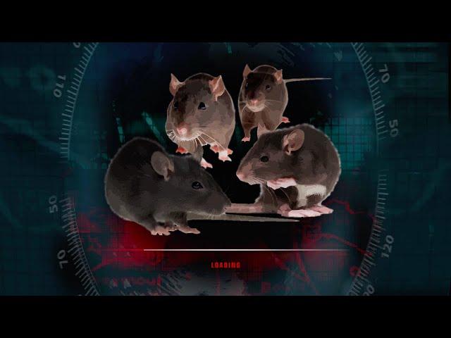 *WORLD RECORD* HITMAN: BLOOD MONEY HIDEOUT RAT% SPEEDRUN!!!!!!!!!!!!!!!!!!!! (0.01)