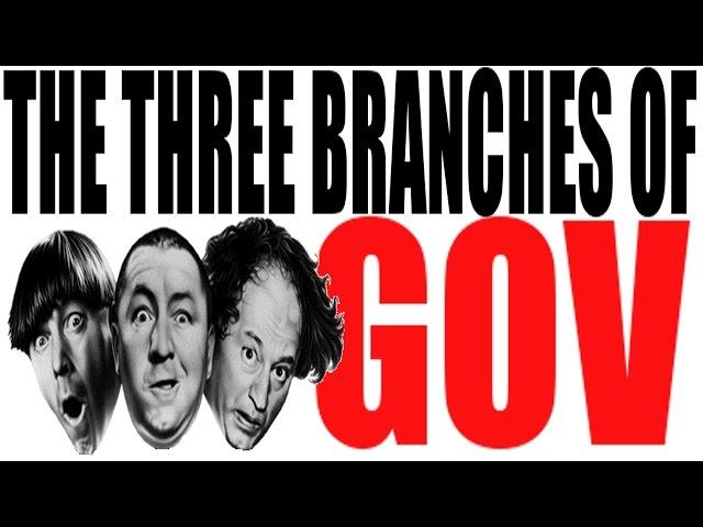 The 3 Branches of Government Explained