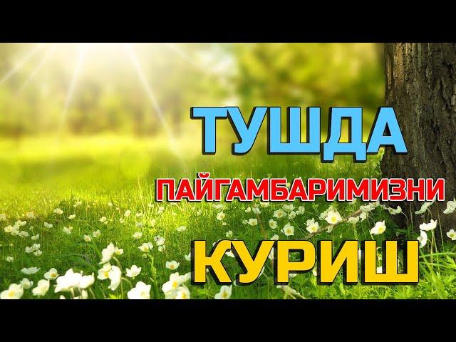 Туш табири - Тушда Пайгамбаримизни куриш