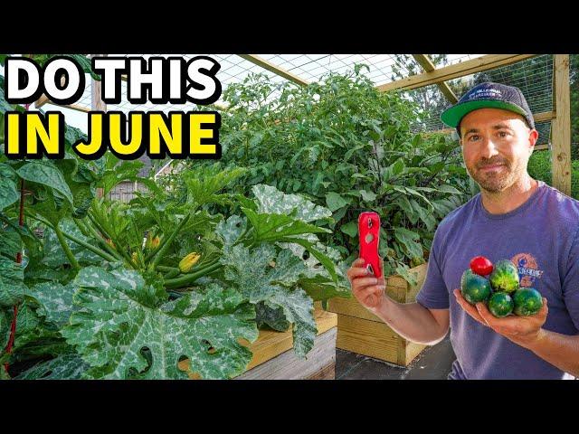 6 June Garden Tasks Every Gardener Must Do NOW!