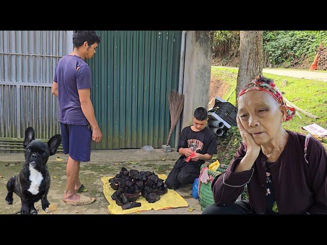 The Orphaned Boy - Going to pick Horsetail to sell, the old lady visited Thanh with many memories