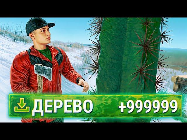 Раст, но это РЕЙТЫ x1000! Самый ЛУЧШИЙ СТАРТ за все время в Rust/Раст