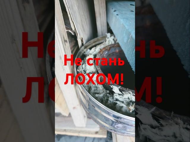 Не будь лохом! Покупка без переплат: дымоход и дровяная печь