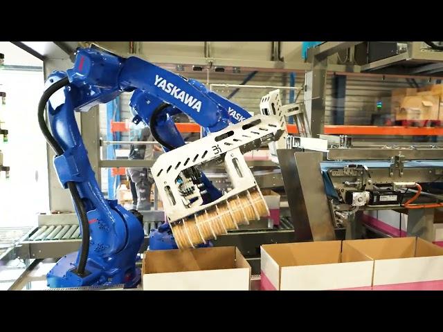 BK Automation Robot Packer