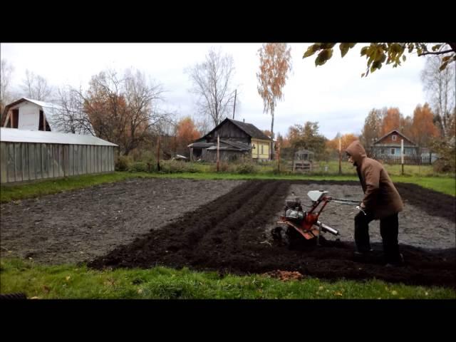 самодельный культиватор в работе.  homemade cultivator