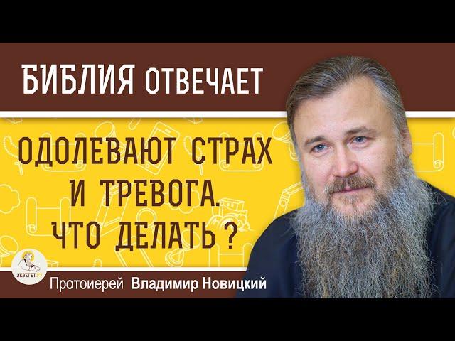 КАК ПРЕОДОЛЕВАТЬ СТРАХ И ТРЕВОГУ ?  Протоиерей Владимир Новицкий