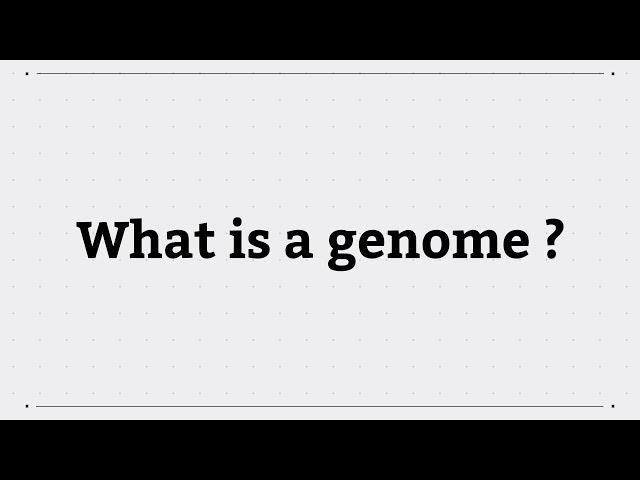 What is a genome?