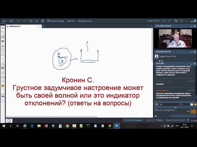 Кронин С. Грустное задумчивое настроение может быть своей волной или это индикатор отклонений?