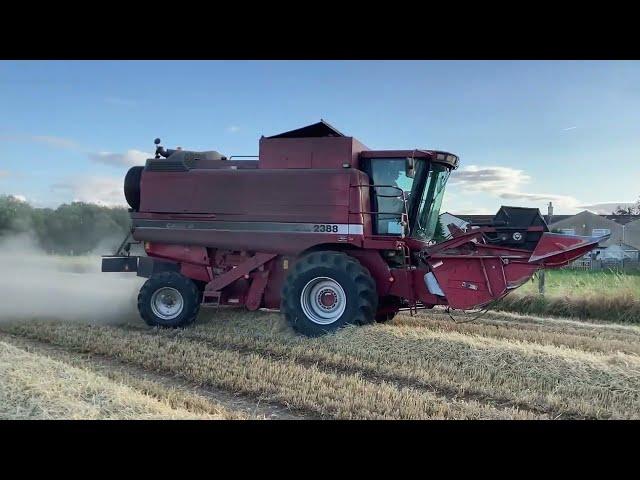 Case IH 2388 Axial Flow Combine Harvester - Spring Barley 2021