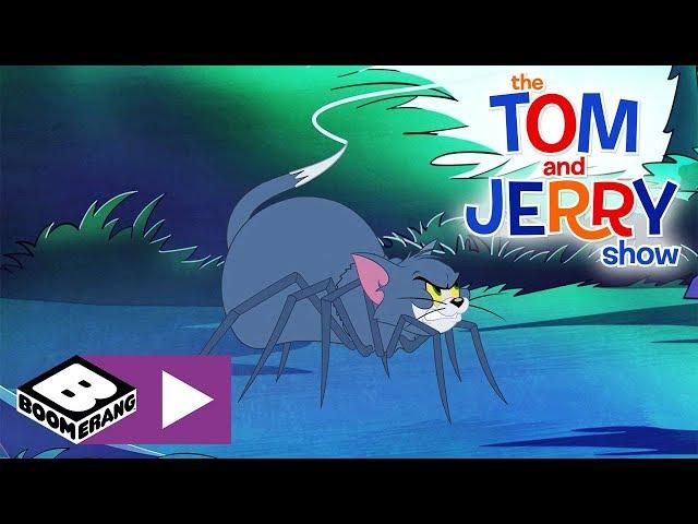 The Tom and Jerry Show  | Spider Tom | Boomerang UK 