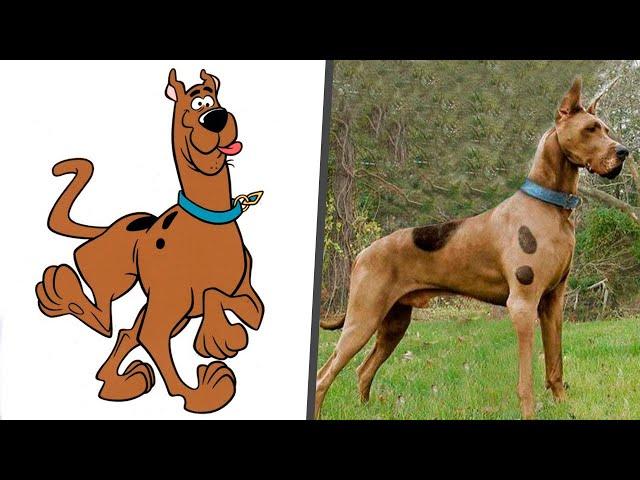 Scooby Doo in Real Life! All Characters