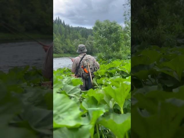 Моя река Уфа #adventure #fishing #travel