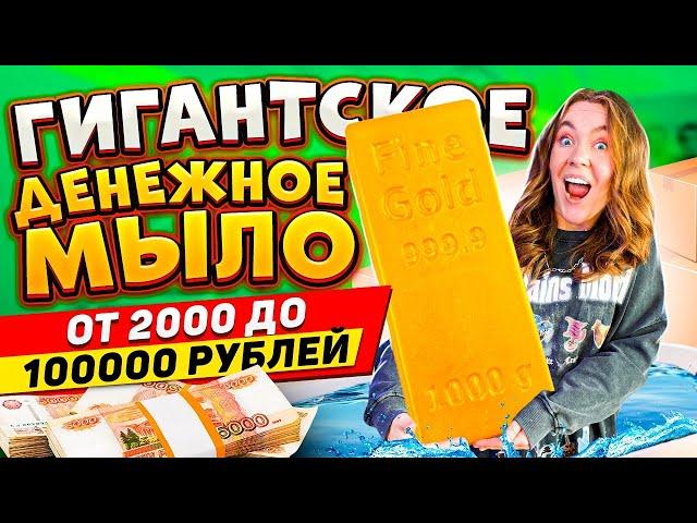 КУПИЛА ГИГАНТСКОЕ ДЕНЕЖНОЕ МЫЛО за 25000 Рублей ! СКОЛЬКО Денег Внутри Я НАШЛА?!