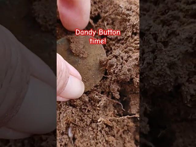 COLONIAL Coat Button saved! #metaldetecting #treasure #fun #history #trending #garrett #woods #lost
