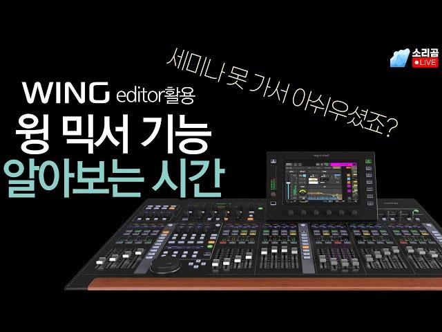베링거 윙으로 할 수 있는 것들 알아봅시다. [소리곰라이브]