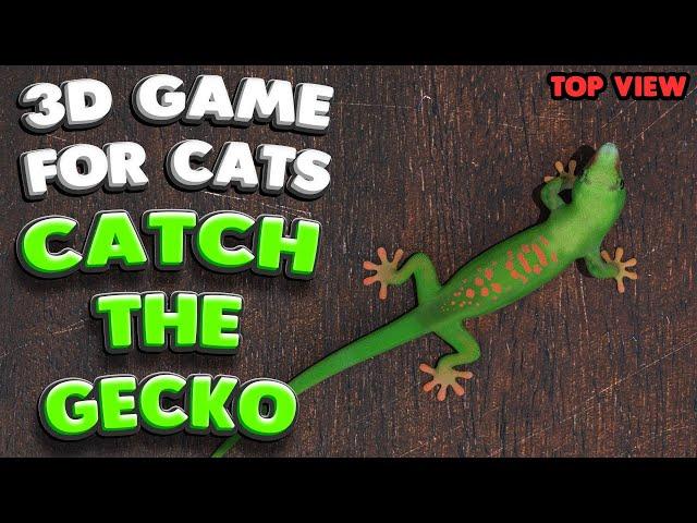 3D game for cats | CATCH THE GECKO (top view) | 4K, 60 fps, stereo sound