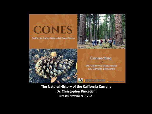 Natural History of the California Current with Dr. Christopher Pincetich