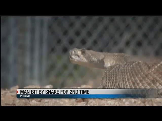 Reason to never take a selfie with a rattlesnake