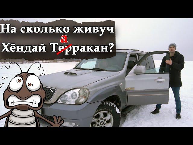 Хендай Терракан 2.9 Таракан в дикой природе.  Hyundai Terracan 2.9