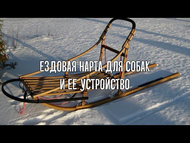 Ездовая нарта ( сани) для собак и ее устройство . Как сделать нарту своими руками . Виды нарт .