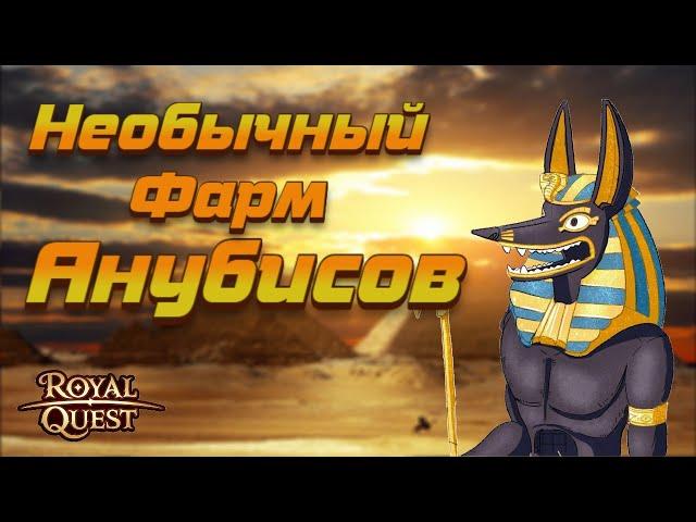 Роял Квест. Пирамида Необычный фарм️