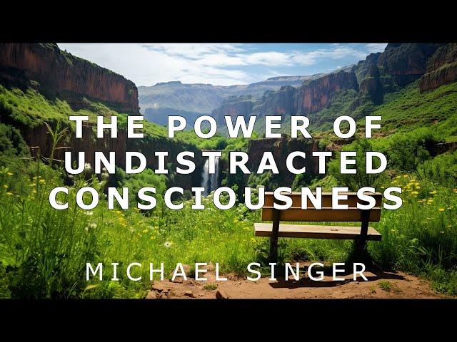 Michael Singer - The Power of Undistracted Consciousness