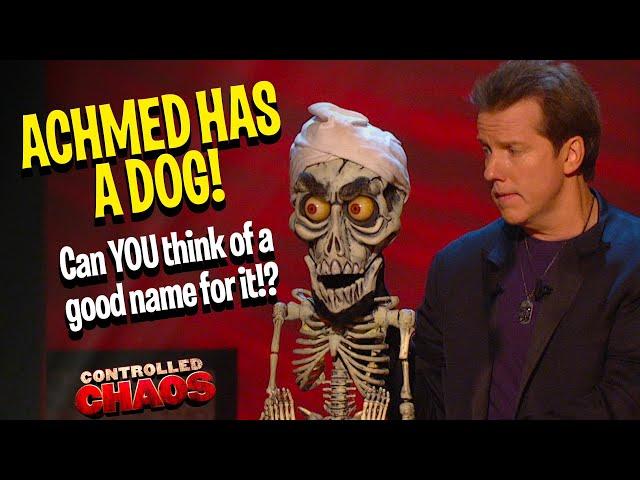 Achmed has a dog!?  Can YOU think of a good name for the pup? | Controlled Chaos | JEFF DUNHAM