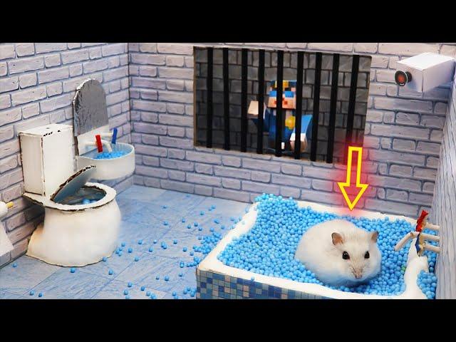 Hamster Escapes the Awesome 5-Star Luxury Prison Maze with Bathtub for Pets in real life