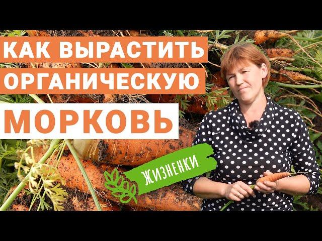 Дорогая? Нет – бесценная морковь для проекта «Жизненки»!