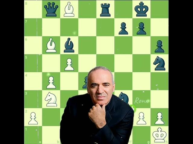 Garry Kasparov Brilliancy ( 2 ) 