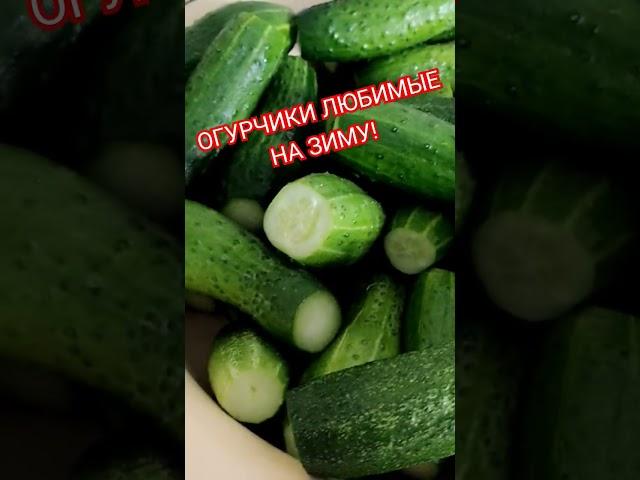 ОГУРЧИКИ ВКУСНЫЕ ЛЮБИМЫЕ на Зиму!