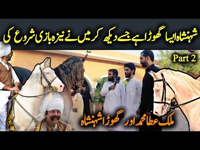 Nawab abbas khan hoti or ghory - Malik atta Muhammad horse Shehanshah - part 2