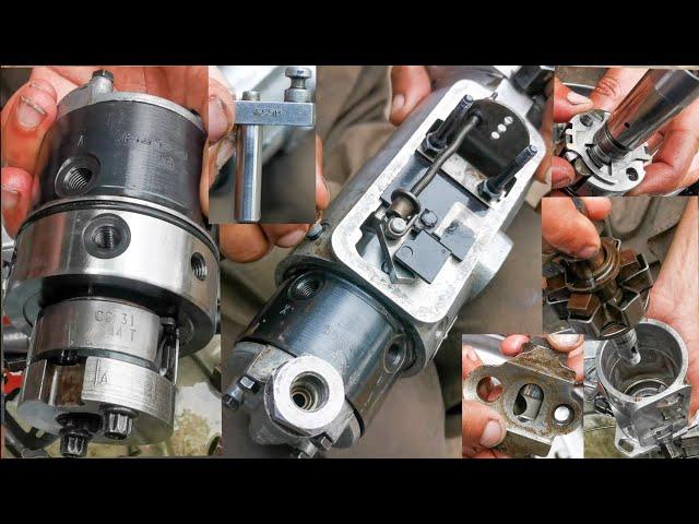 how to delphi diesel pump full repair, Fiat tractor pump