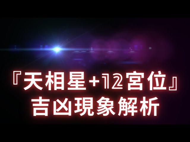 【天相星+12宮位】吉凶現象超乾貨解析！麥可大叔30年紫微斗數算命命理老師