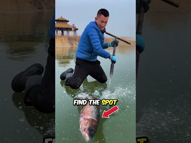 Fishing in the Frozen Lake 