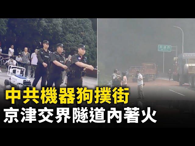 中共機器狗與特警一起操練 突馬失前蹄撲街！ 京津交界隧道內著火濃煙滾滾 ！廣西百色遭洪水肆虐 城區一片汪洋！哈爾濱突降冰雹 農作物損毀！#網絡視頻  | #大紀元新聞網