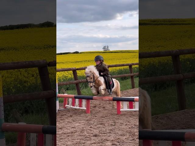 Ivy & the littlest pony ever. #horse #horseriding #equestrian #pony #horselover #trending #trend