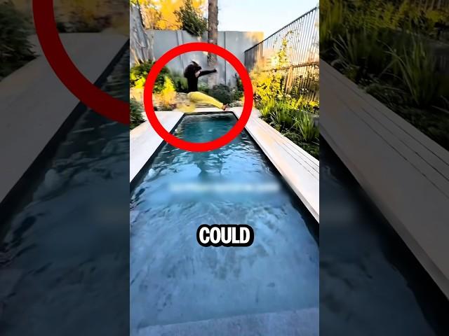 She Jumped Into a Narrow Pool… Then This Happened 