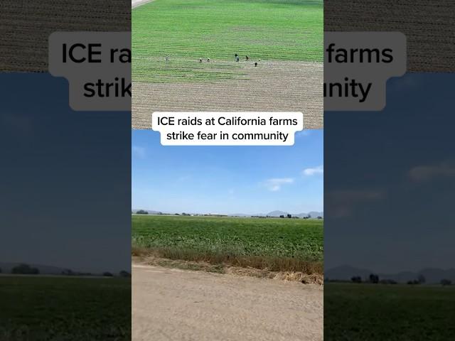 ICE raids at California farms strike fear in community