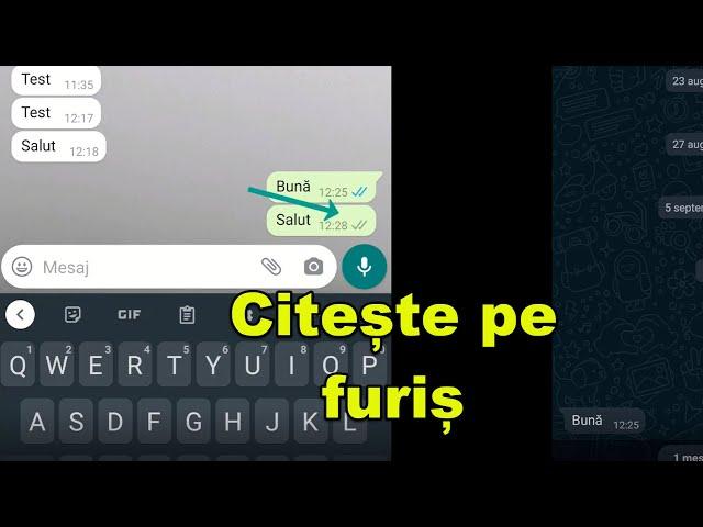 Citește mesaje WhatsApp fără știrea expeditorului - CITIRE MESAJE INCOGNITO