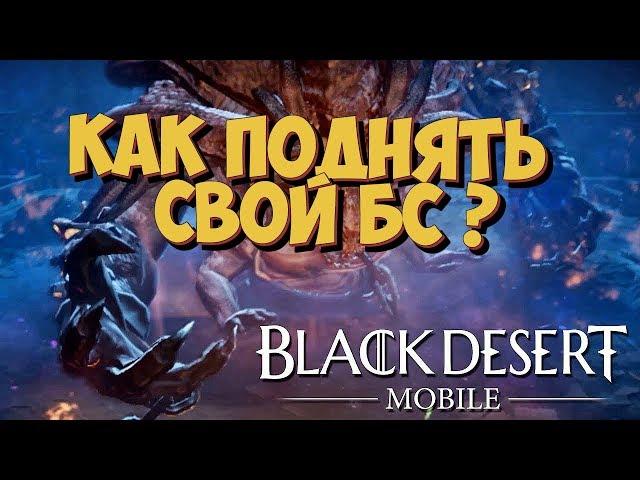 Black Desert Mobile  Где брать БС? Как поднять БС?  Гайд новичкам