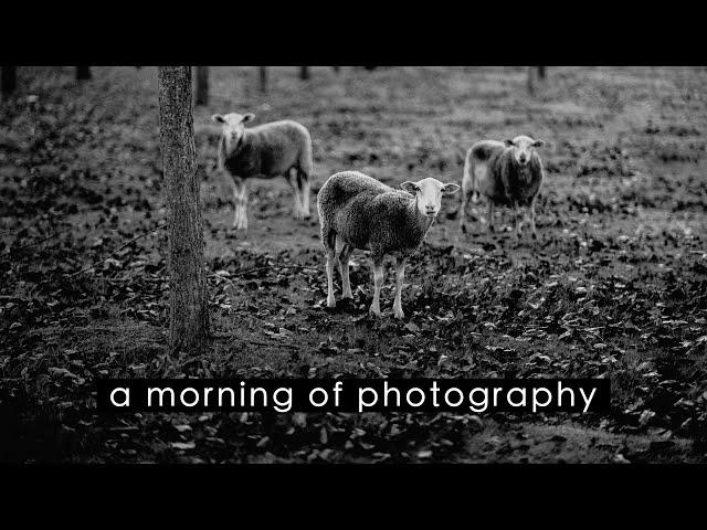 A morning of photography ~ POV