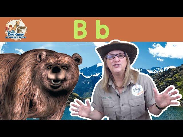 Zoo Crew Alphabet Show  |  Bears and Letter B