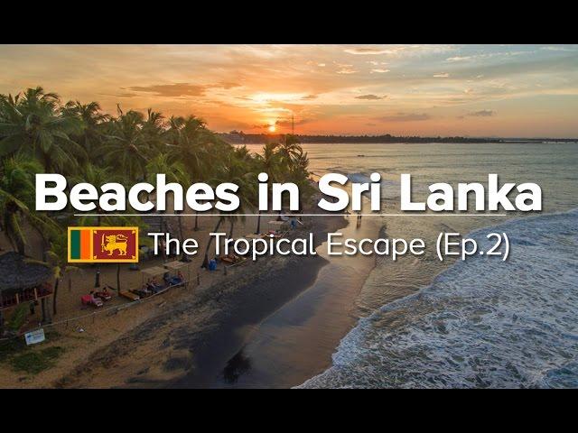 10 Best Beaches in Sri Lanka - East/South/West Coast (Tropical Escape #2)