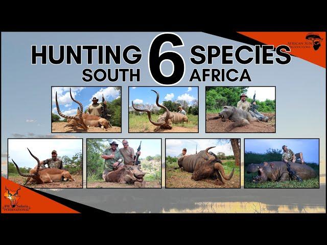 Hunting hippo & plains game in South Africa - 6 species with RW Safaris International #huntingvideo