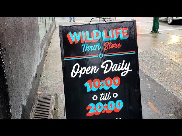 Wildlife Thrift Store in downtown Vancouver. 1295 Granville Street.